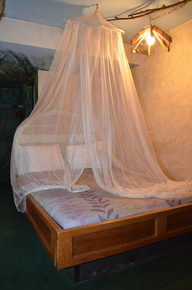 Red Carpet Inn And Fantasuite Hotel - photo 10