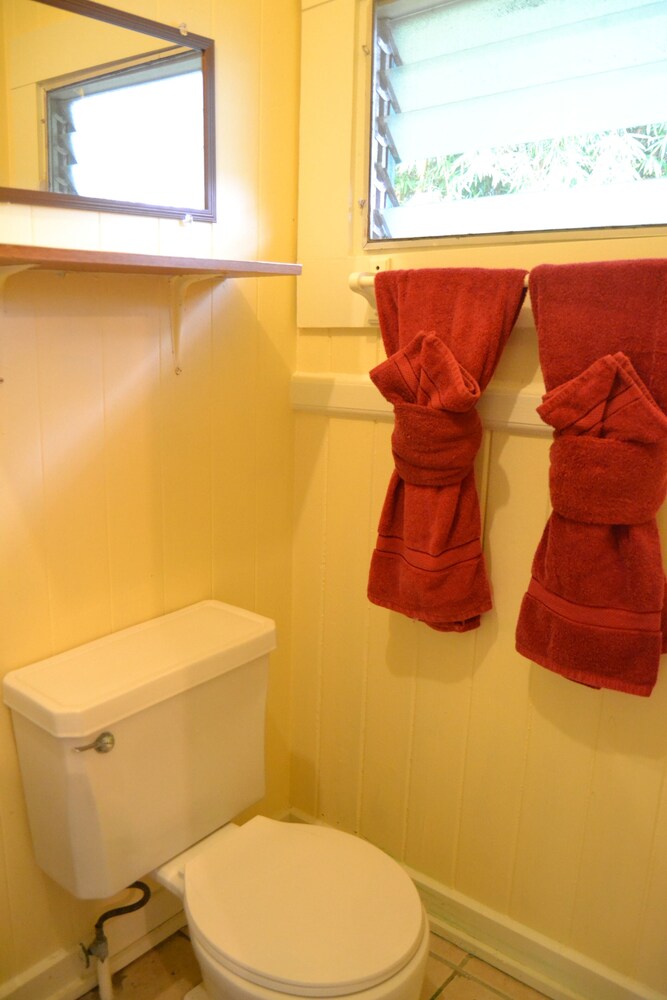 Wild Ginger Inn Hotel - photo 26