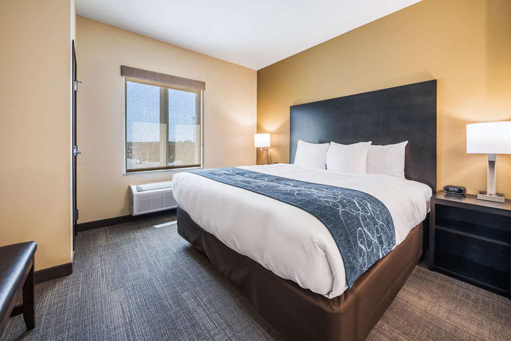Comfort Suites Marysville Columbus Northwest - photo 31