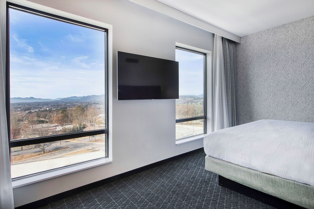 Embassy Suites By Hilton Asheville Downtown - photo 86