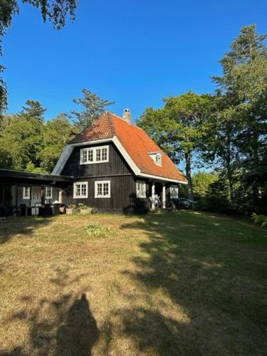 Atmosphere In Forest Clad Setting At Rågeleje in Unknown City, Denmark