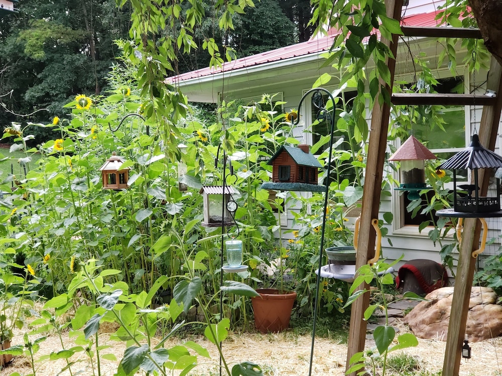 Blue Ridge Manor B&B - photo 48