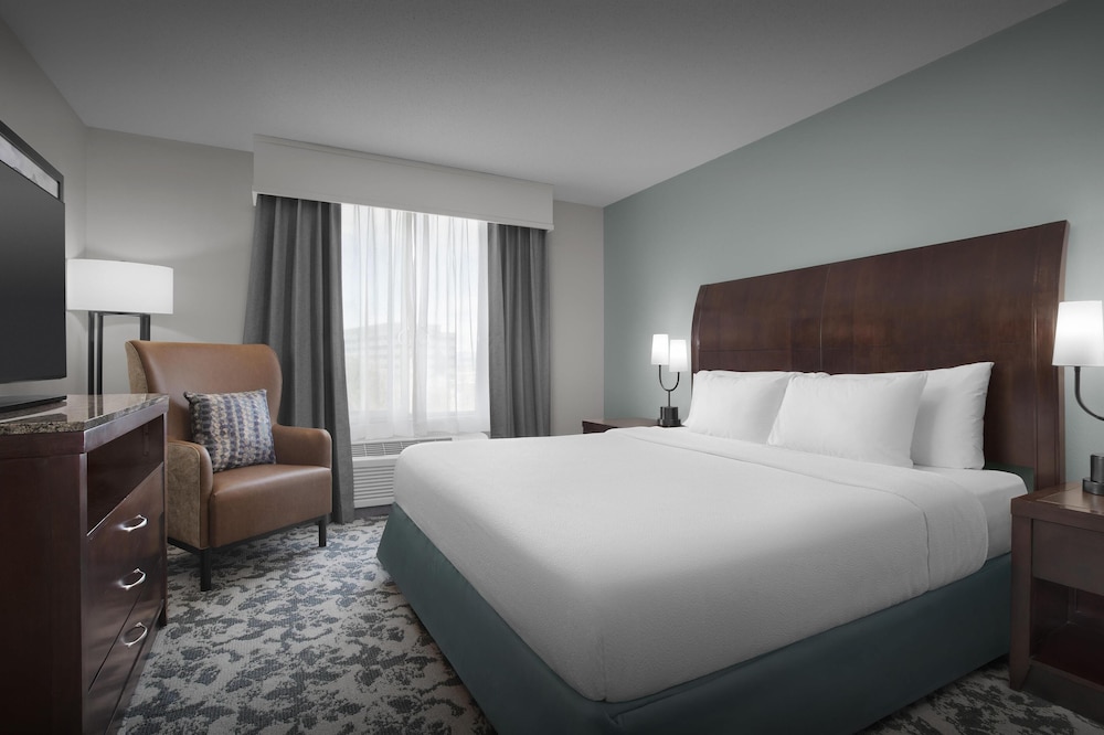 Hilton Garden Inn Denver Highlands Ranch - photo 10