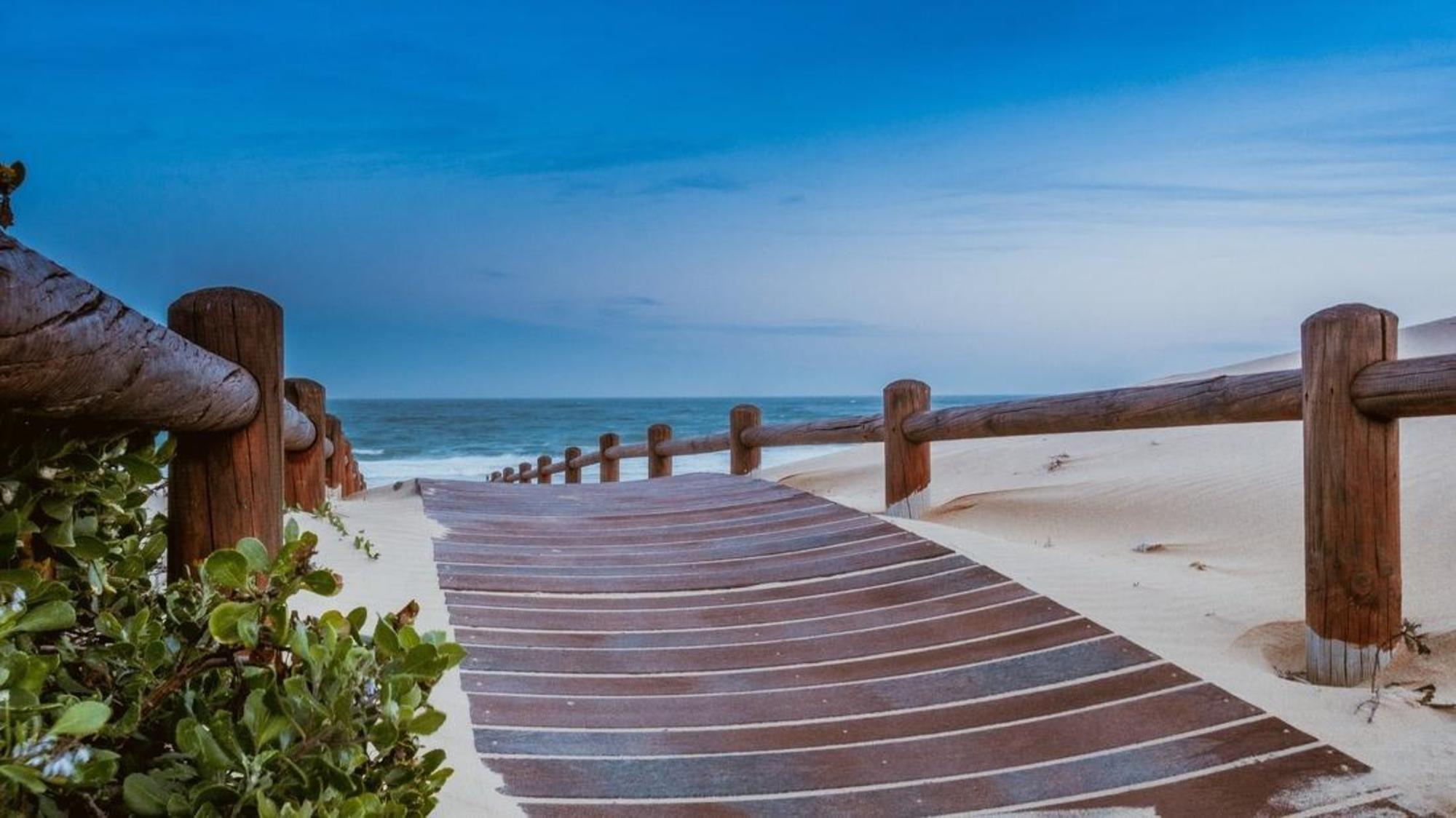 Ocean Surf Hotel - photo 6