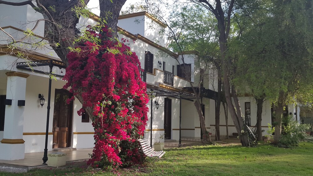 Posada del Olivo — hotel in Chilecito