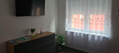 Juhar Kiskunhalas — Kiskunhalas — photo 3