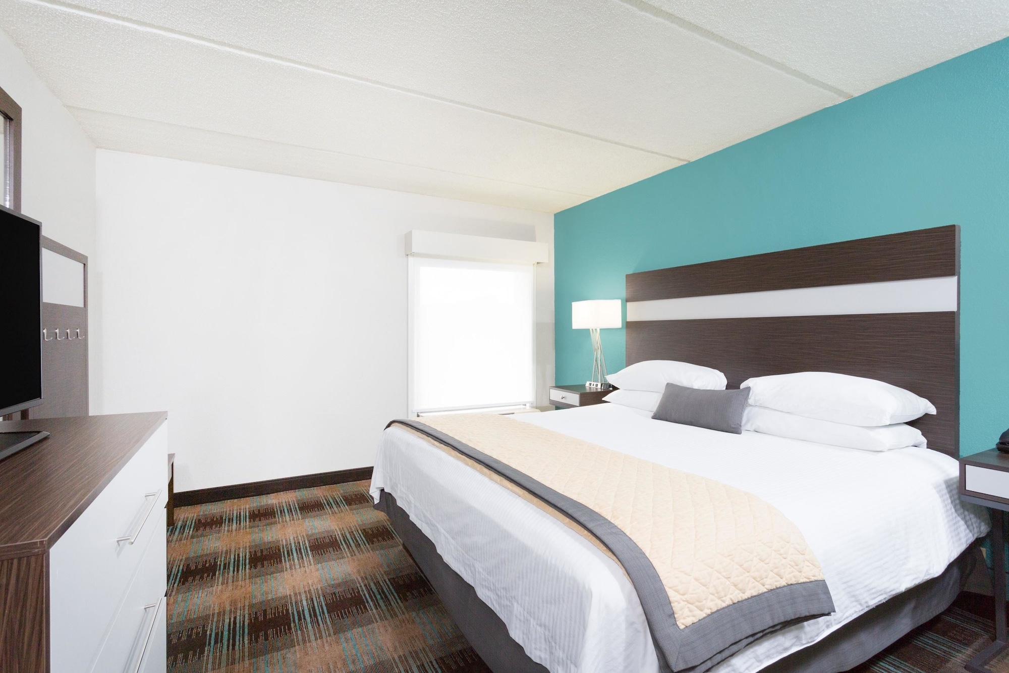 Wyndham Garden Greenville Airport - photo 5