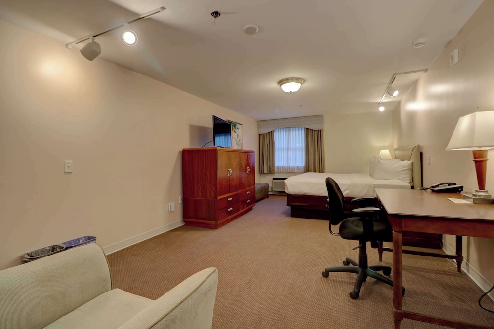 Senator Inn & Spa - photo 23