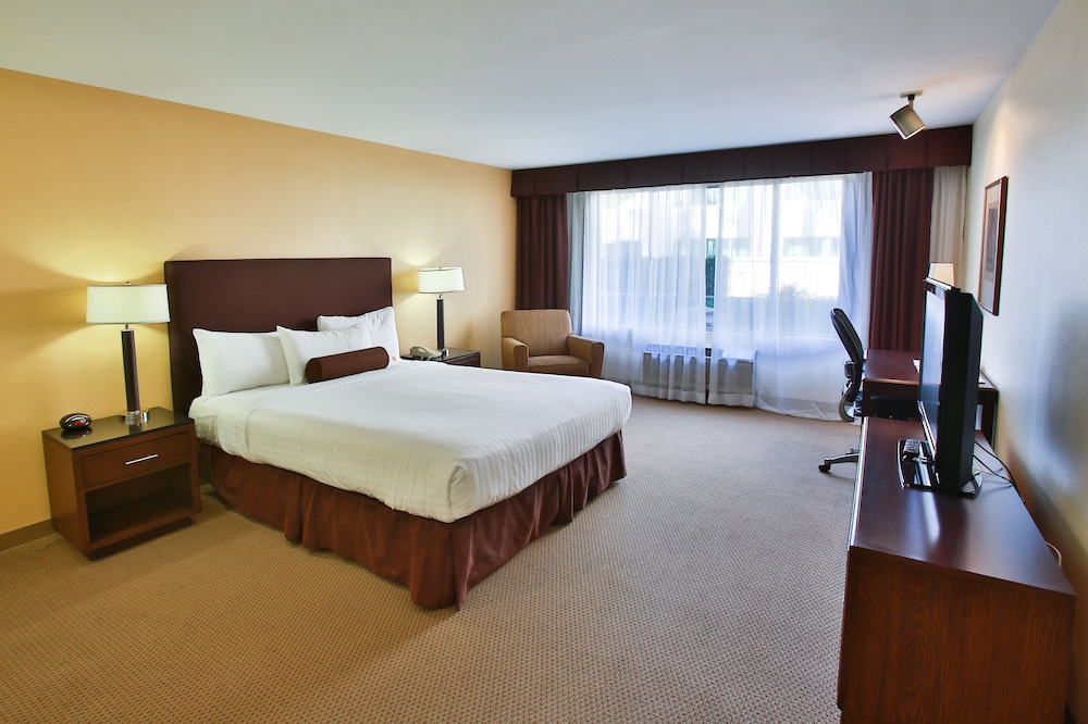 Airtel Plaza Hotel - photo 24