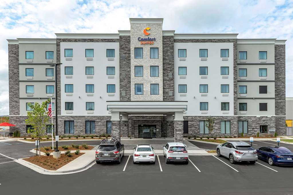 Comfort Suites Greenville Airport - photo 3