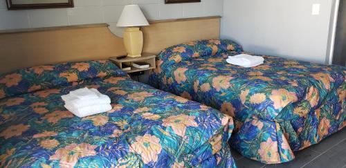 Palms by the Beach Motel - photo 6