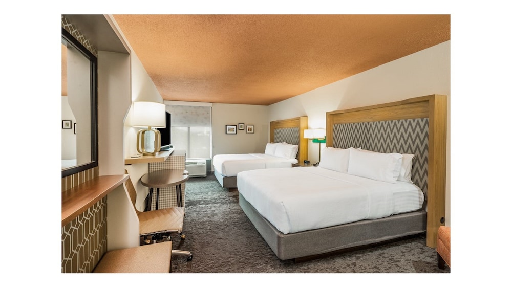 Holiday Inn Roanoke Airport Conference CTR by IHG - photo 11