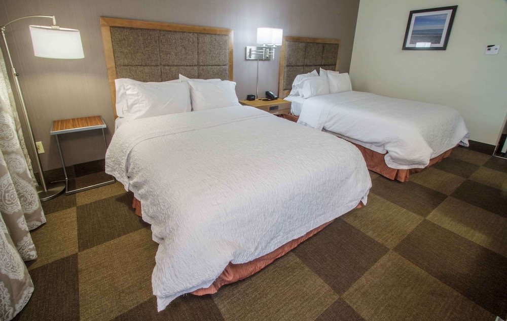 Hampton Inn South Haven - photo 14