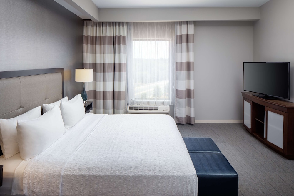 Hampton Inn & Suites Charlotte Ballantyne - photo 12