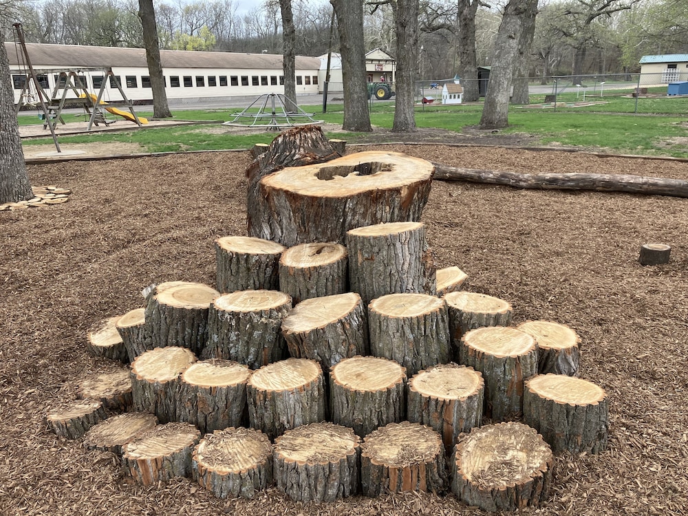 Sycamore Springs - photo 33