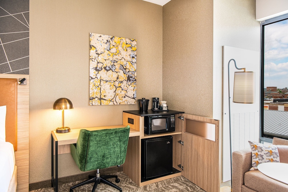 SpringHill Suites by Marriott Baltimore Downtown Convention Center Area - photo 24