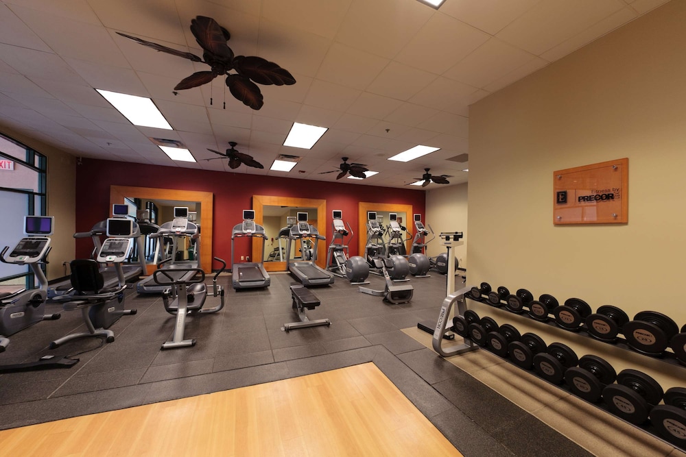 Embassy Suites by Hilton Dallas DFW Airport North - photo 47