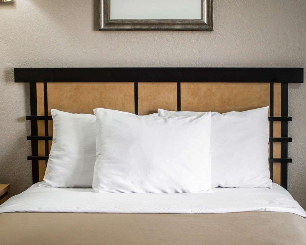 Econo Lodge Inn & Suites Colonie Center Mall - photo 11