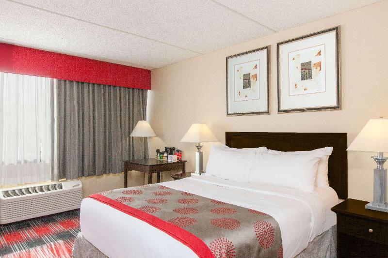 Ramada Plaza by Wyndham Albany - photo 7