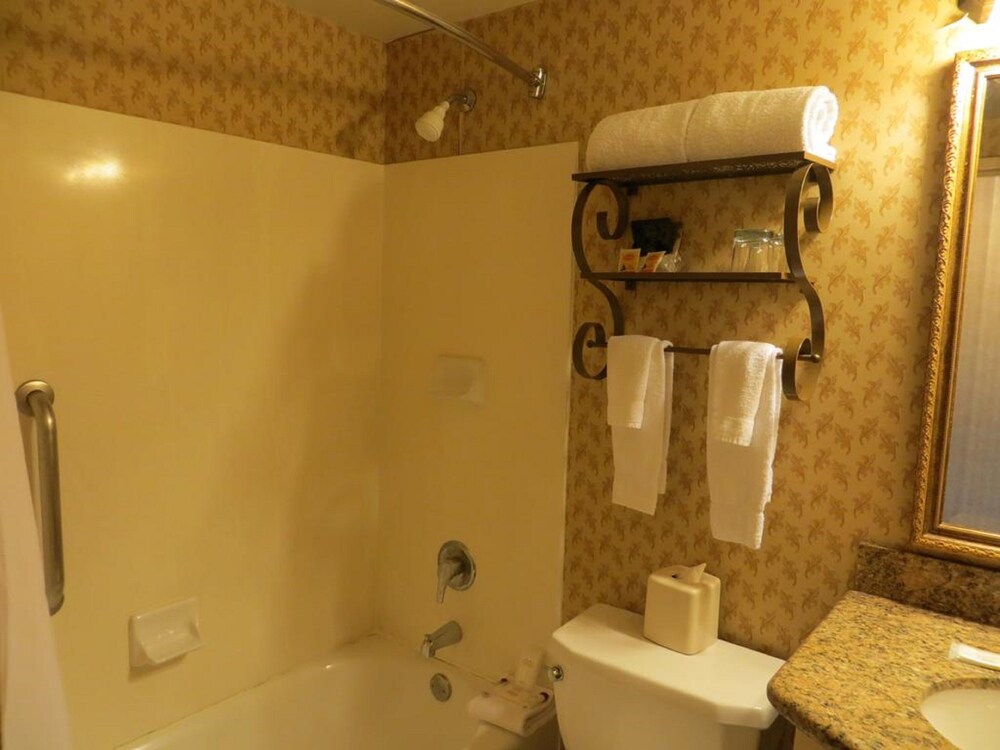 Ramada Dallas North - photo 22