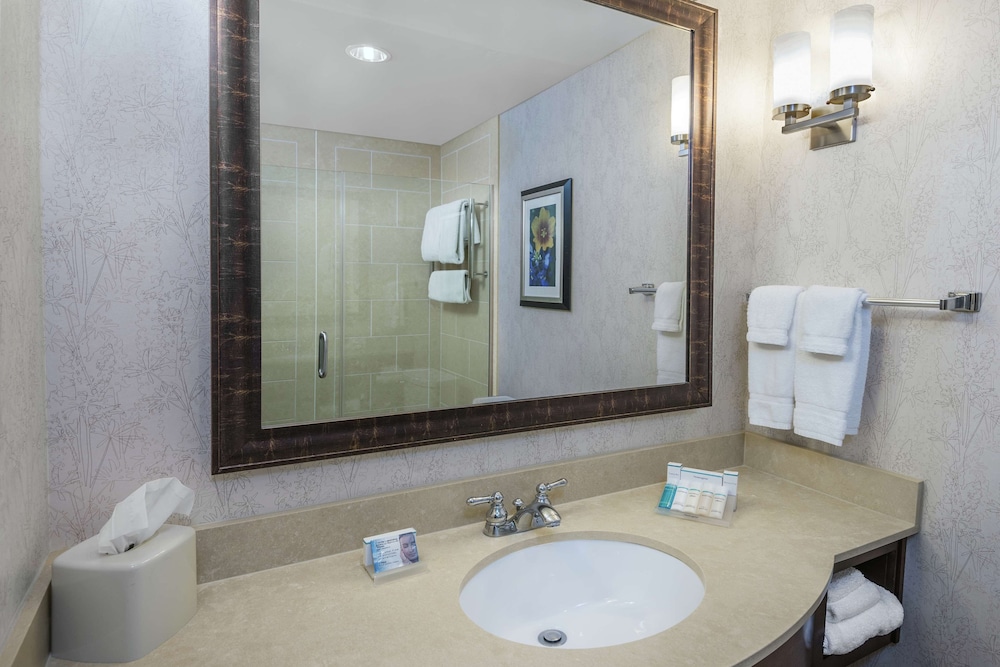 Hilton Garden Inn San Antonio At The Rim - photo 19