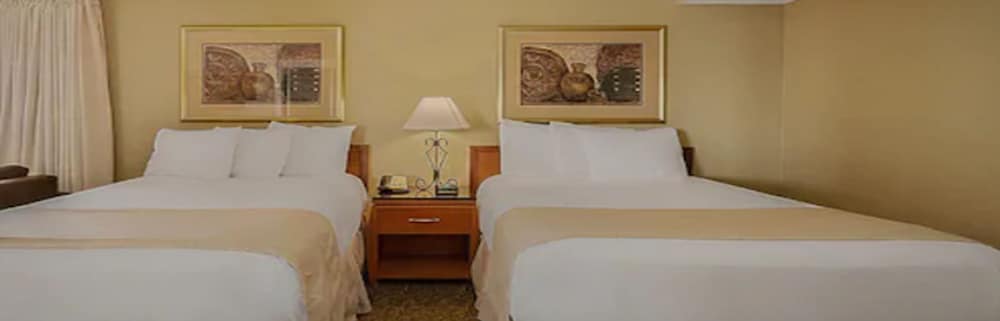 Chase Suite Hotel Rocky Point Tampa - photo 5