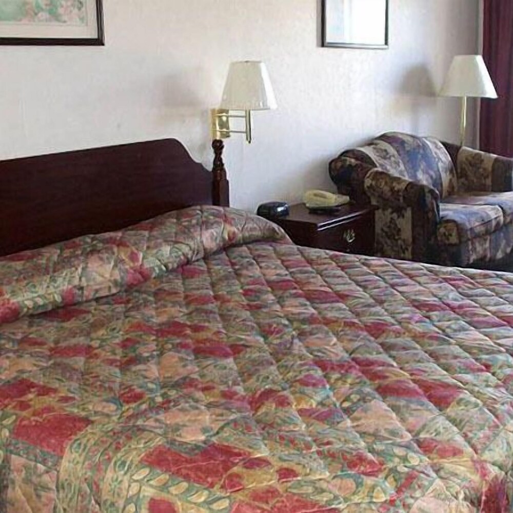 Shelaine Inn - photo 8