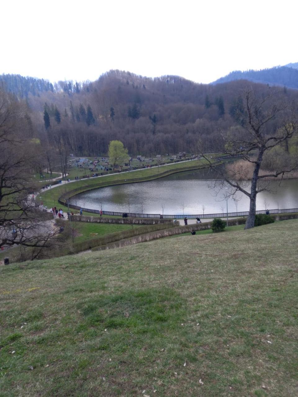 Deea&Vio Kronbau — Brasov — photo 3