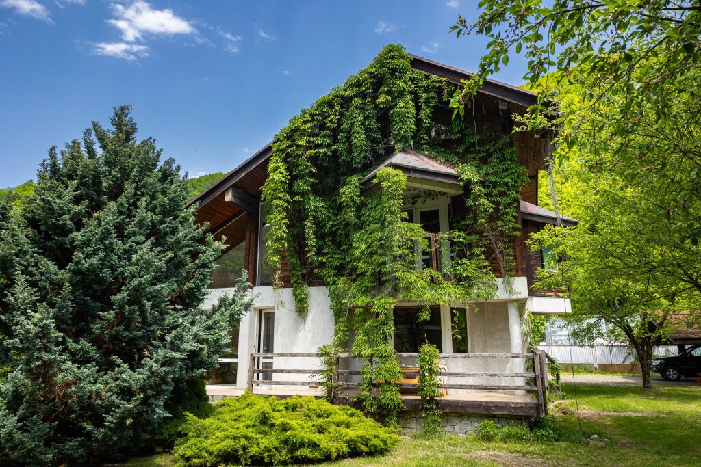 Gostevoy dom Tere in Krasnaya Polyana, Russia