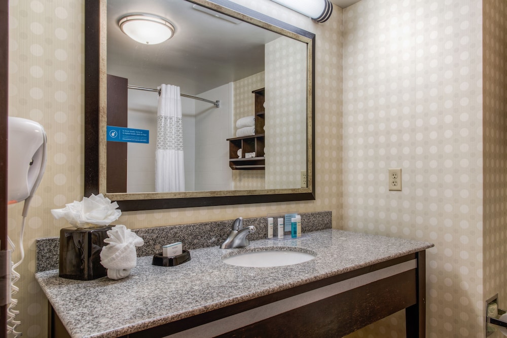 Hampton Inn & Suites Detroit Airport Romulus - photo 15
