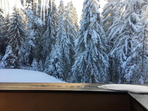 Borovets Chalets — Samokov — photo 5