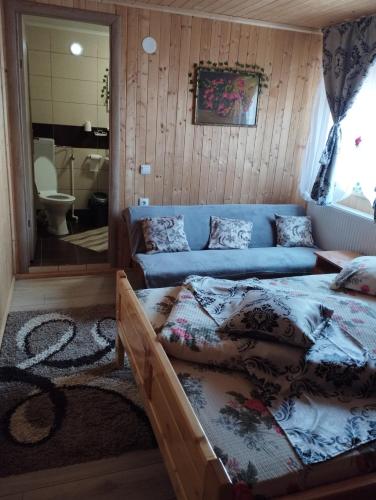 Cabana Dănuțza — Arieseni — photo 4