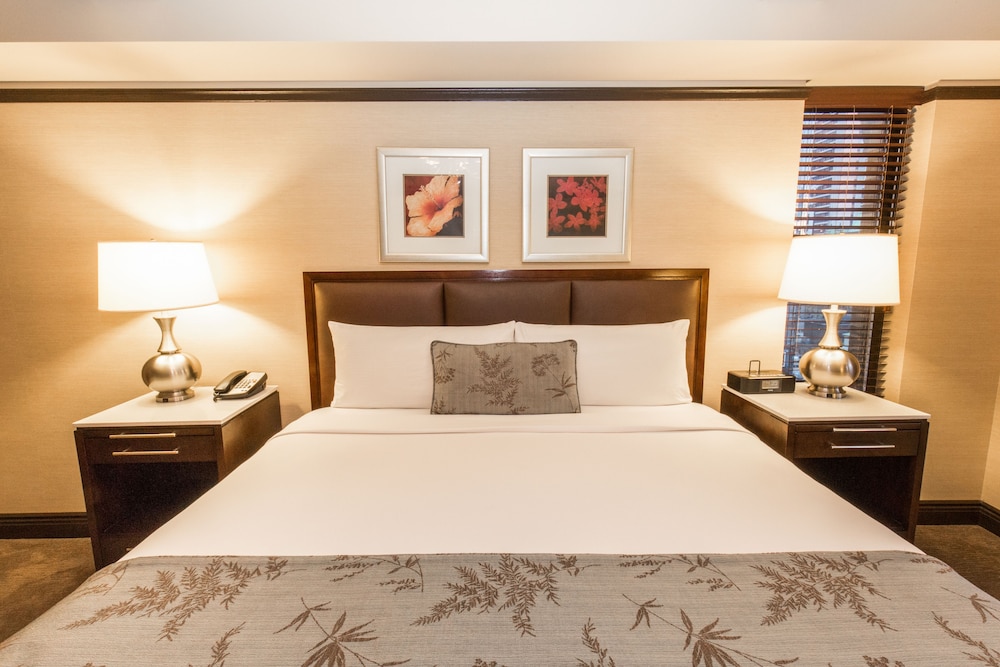 The Belvedere Hotel - photo 7