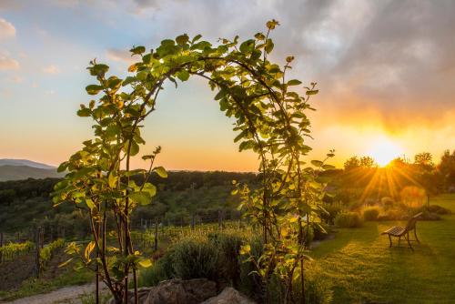 Sequerciani in Gavorrano, Italy