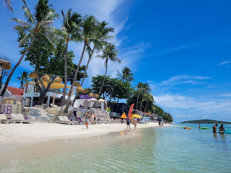 Suneast Bungalows — Koh Samui — photo 2