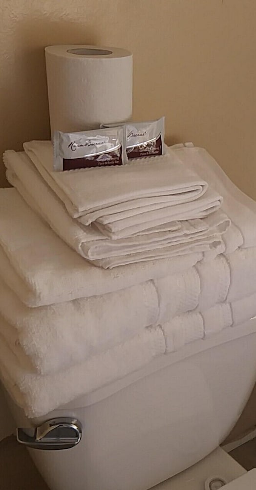 Historic City view Suites - photo 24