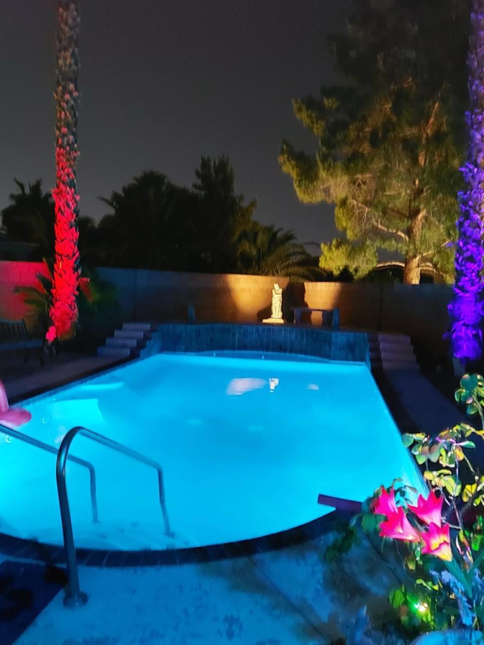 CATmosphere 2 - last minute hotel in Las Vegas