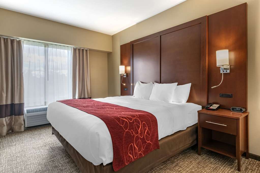 Comfort Suites Manheim Lancaster - photo 9