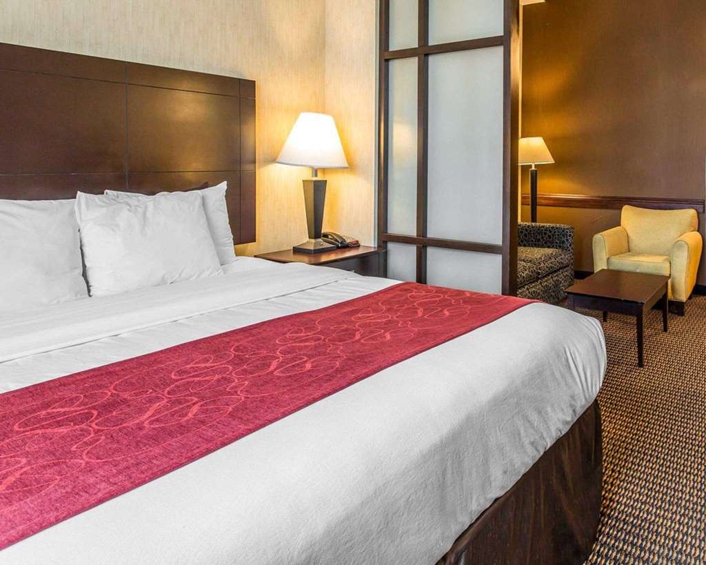 Comfort Suites Near City of Industry Los Angeles - photo 20