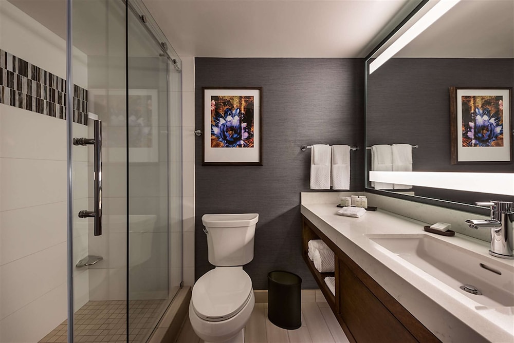 Embassy Suites by Hilton Scottsdale Resort - photo 20