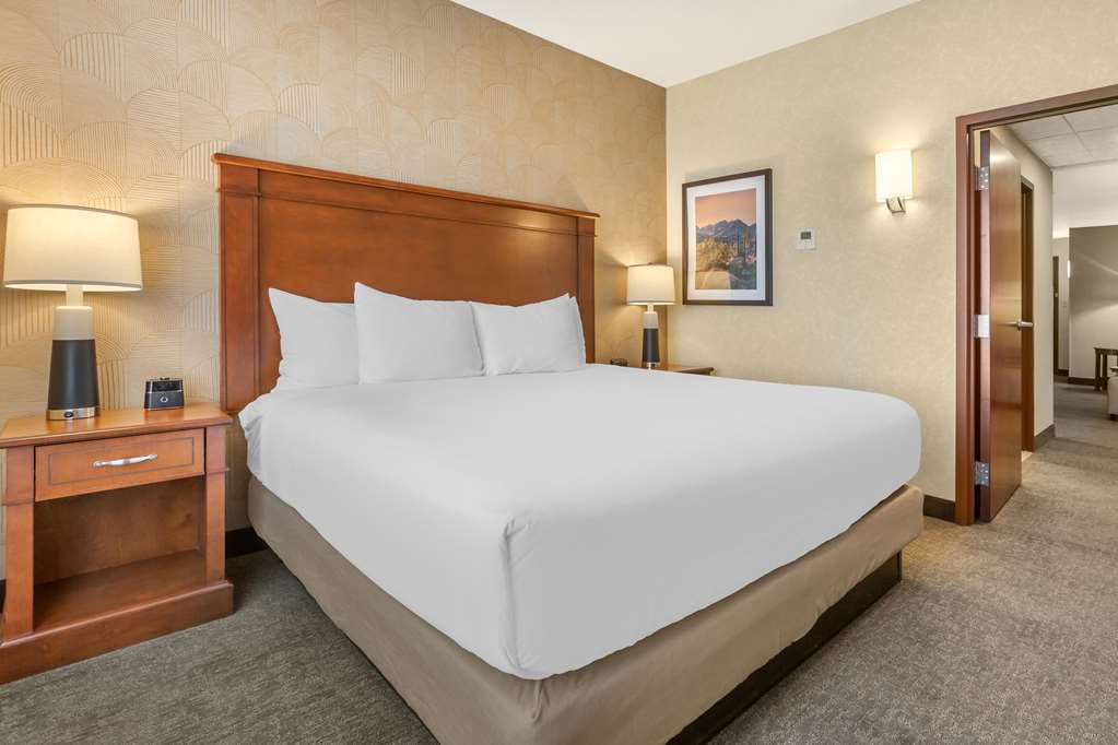 Drury Plaza Hotel Phoenix Tempe - photo 10