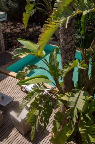 Dar Harmattan — Essaouira — photo 5