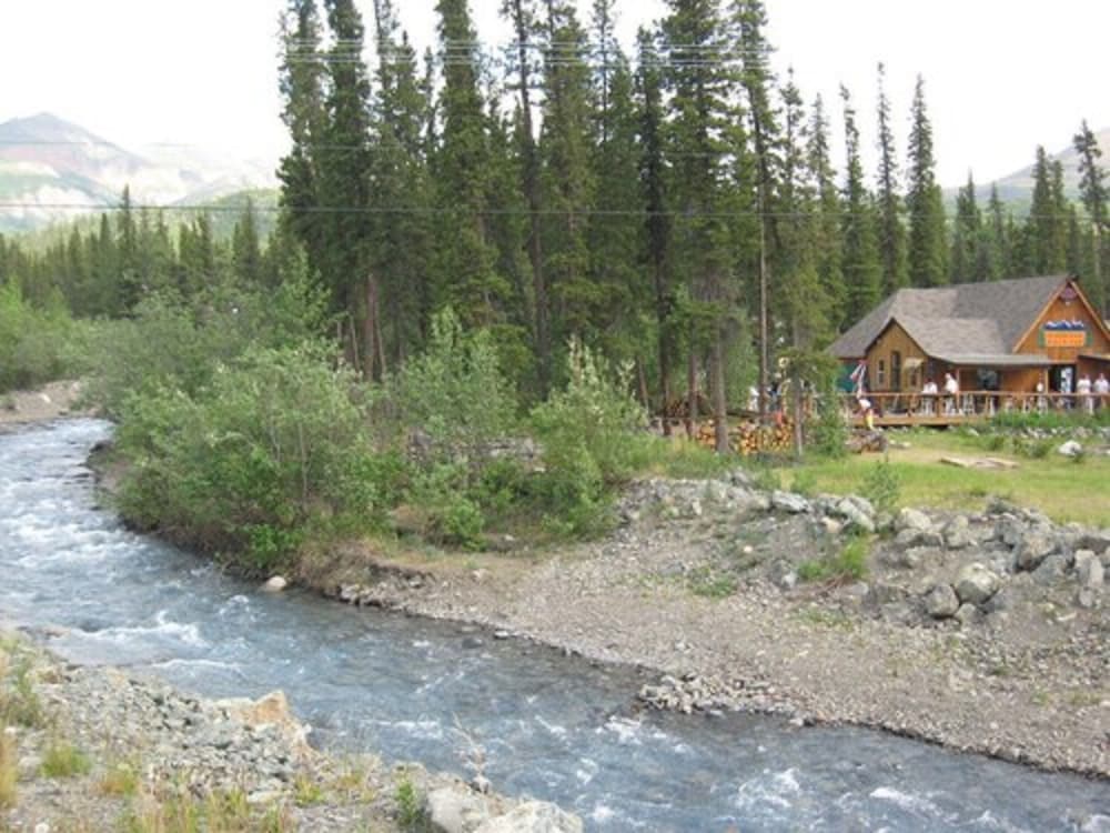 Denali Perch Resort - photo 18