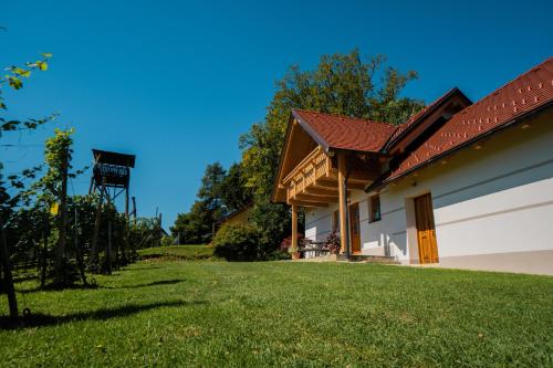 Villa Vineyard — Ormoz — photo 5