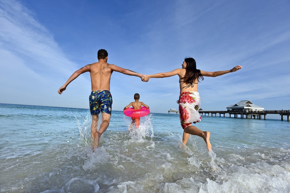 Holiday Inn Express Hotel & Suites Tampa Northwest Oldsmar by IHG - photo 76