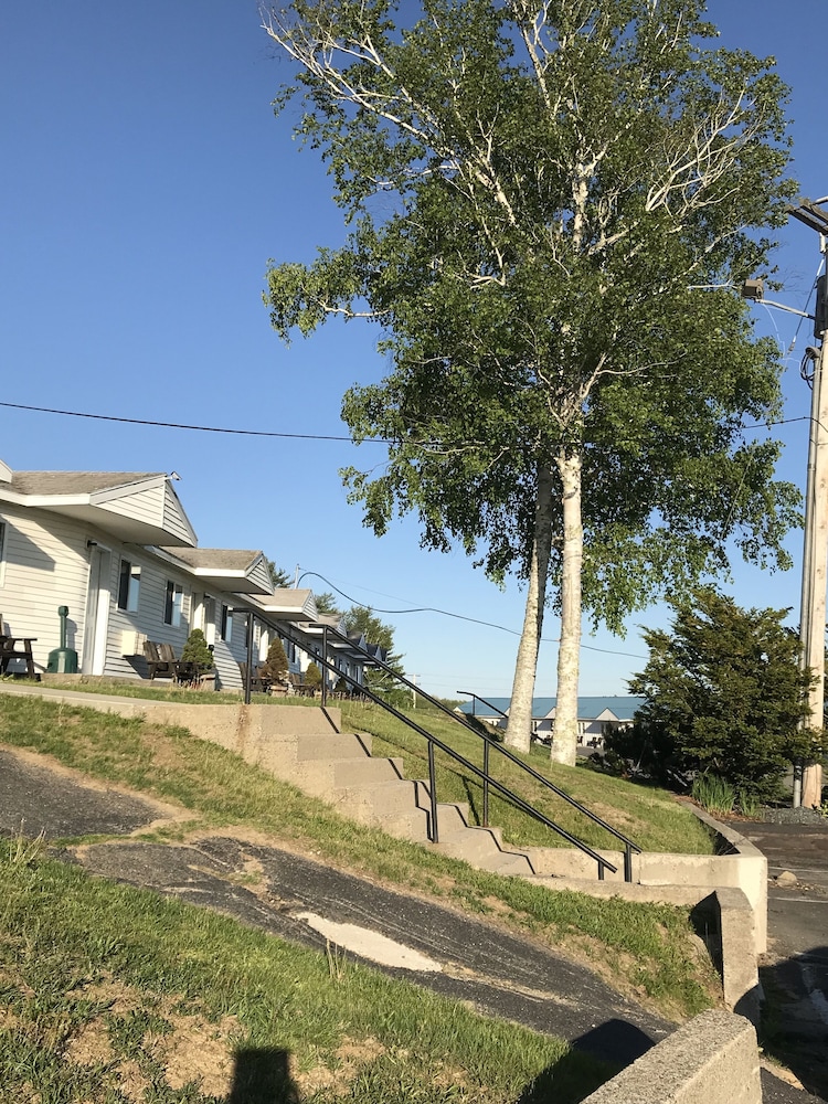 White Birches Motel - photo 98