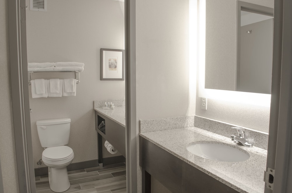 Holiday Inn Fargo by IHG - photo 32
