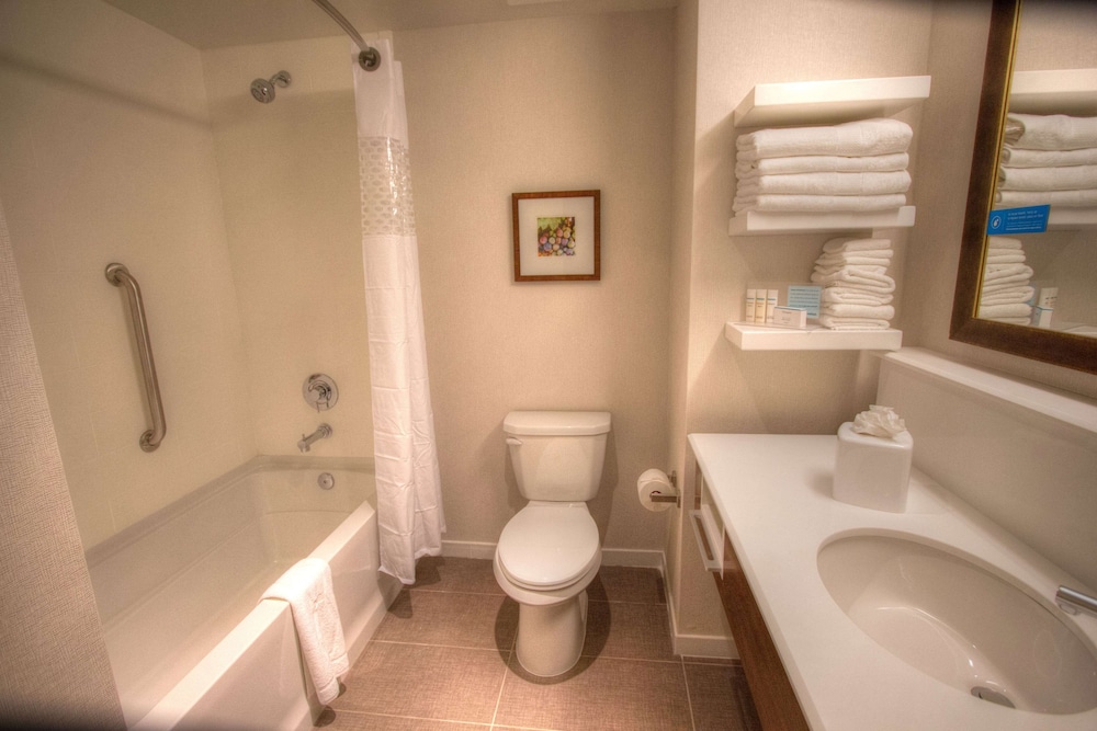 Hampton Inn & Suites Braselton - photo 12