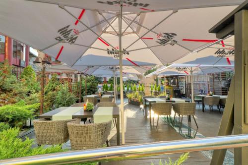 3 Bedroom Apartment in Herastrau Area — 4-Star Luxury Hotel in Bucharest, Romania