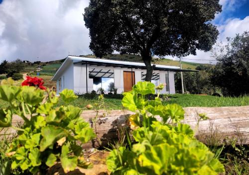 Finca La Piedra — Aquitania — photo 3